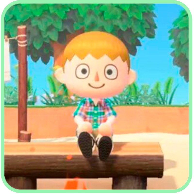 Animal Crossing New Horizons