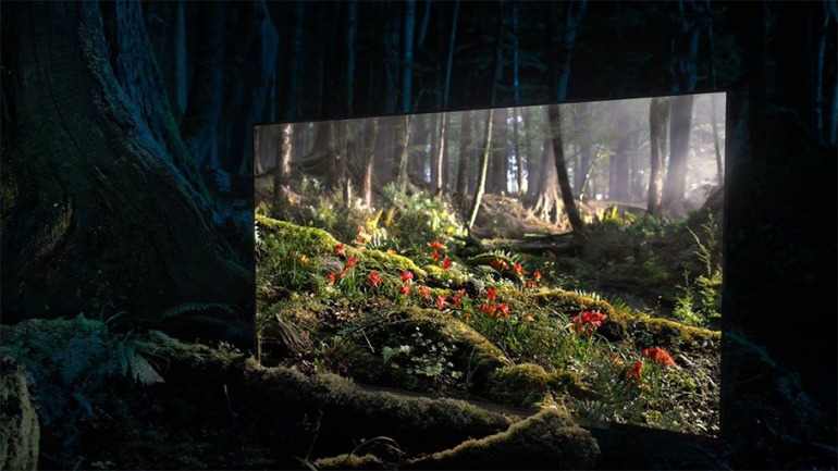 ¡Paneles por doquier! OLED vs. LED vs. MicroLED ¿Cuál es la mejor televisión/pantalla para jugar? ¡Paneles por doquier! OLED vs. LED vs. MicroLED ¿Cuál es la mejor televisión/pantalla para jugar?