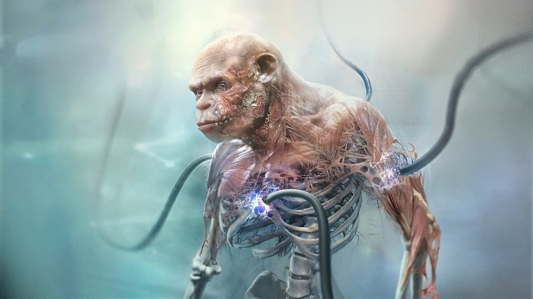 Beyond Good & Evil 2 Beyond Good & Evil 2