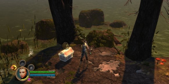 Dungeon Siege III