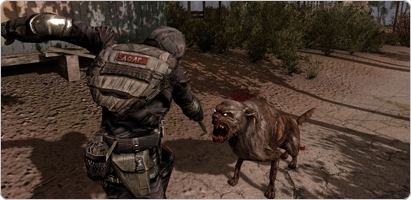 STALKER: Call of Pripyat ya tiene requisitos