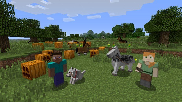Minecraft análisis