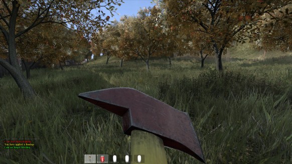 DayZ PC