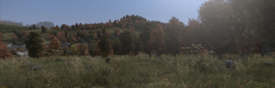 DayZ DayZ