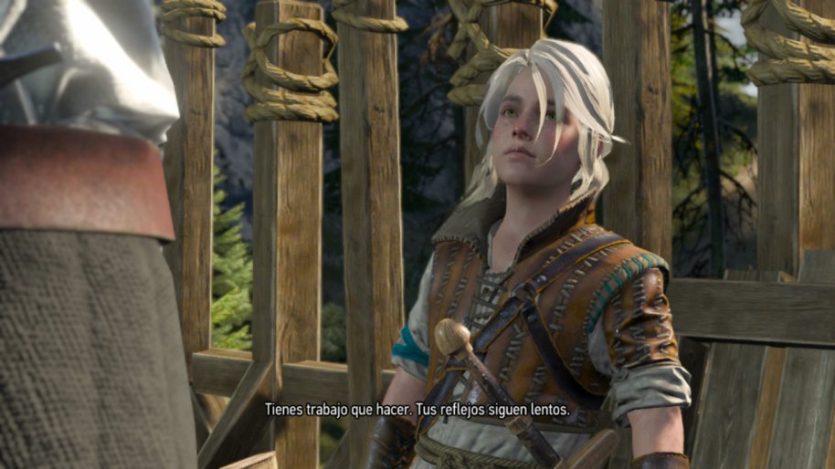 The Witcher 3 Wild Hunt - Complete Edition