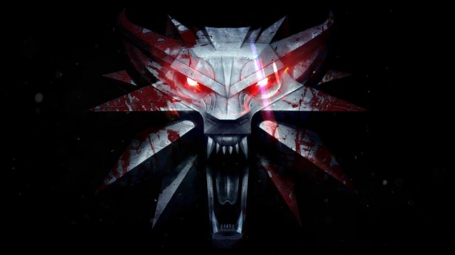 The Witcher The Witcher