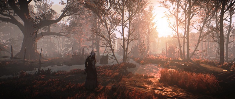 Imagen de The Witcher 3: Wild Hunt Imagen de The Witcher 3: Wild Hunt